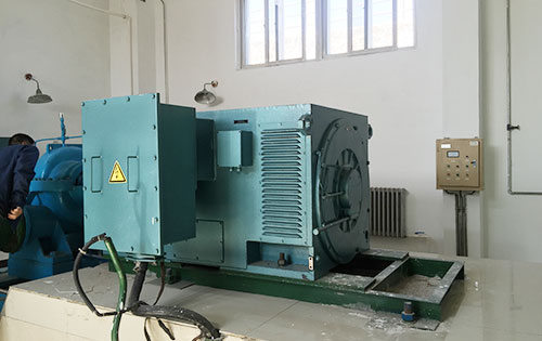 茶陵某水电站工程主水泵使用我公司高压电机